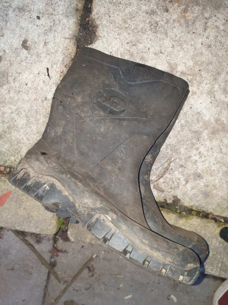 Offered : Adult Dunlop Wellies (Clive Vale TN35)