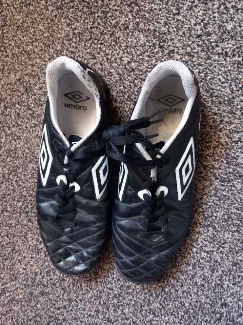 OFFER: Adult. Umbro. Animal and vans trainers (Southam CV47)